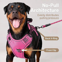 Dog Harness and Leash Set for Large Dogs - Rose Red / XL - image 2