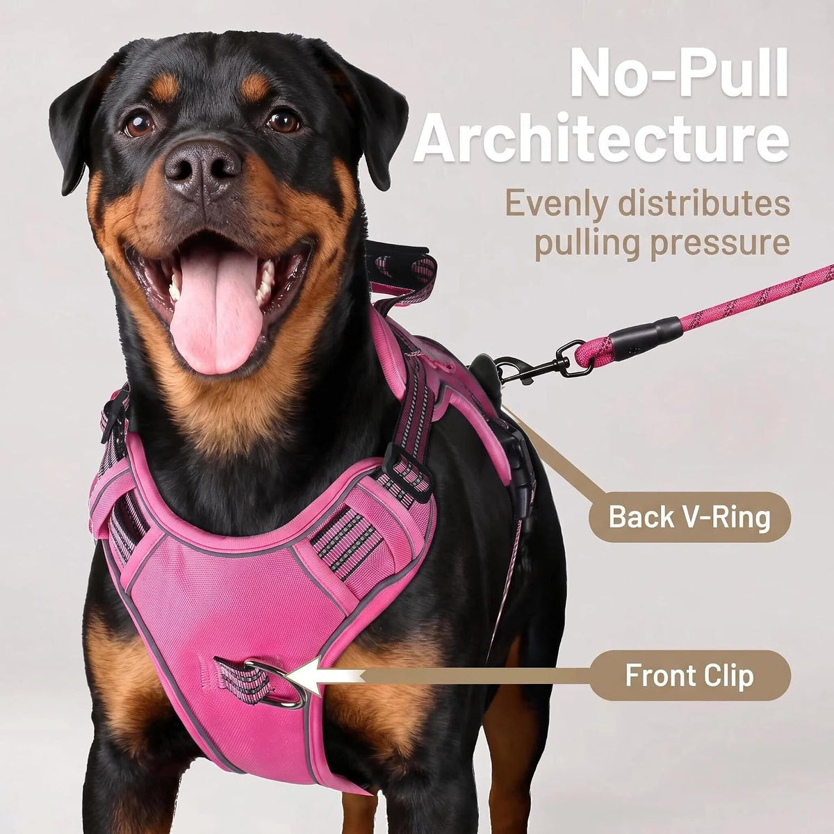 Dog Harness and Leash Set for Large Dogs - Rose Red / XL - image 2