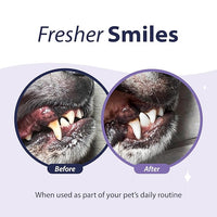 Dental Fresh Advanced Plaque and Tartar Water Additive, 17oz – Dog Teeth Cleaning Formula to Freshen Breath and Improve Cat & Dog Dental Care