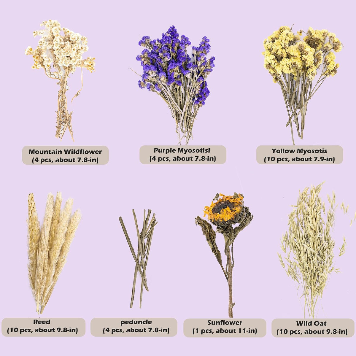 Natural Ear of Grain Flower&Herb Bedding Mate Habitat Decor - Flower Style - image 2