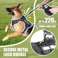 Dog Harness and Leash Set for Large Dogs - Black / L - image 4