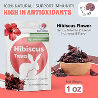 Snout and Shell Hibiscus Treats – 100% Natural Dried Flowers for Small Pets – Immunity Support & Antioxidants – Healthy Snack for Rabbits, Guinea Pigs, & Chinchillas (1 oz)
