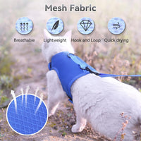 Cat Harness and Leash Set for Walking Escape Proof - Blue / L 8-12 lbs - image 4