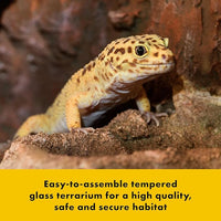 Zilla QuickBuild Reptile 20 Gallon Glass Terrarium Habitat with Bedding Tray For Geckos, Snakes, Lizards, Frogs, Turtles, and Tortoises, 30" x 12" x 12"