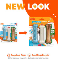 Nylabone Puppy Pacifier Chew Toy - Blue / Small - image 3