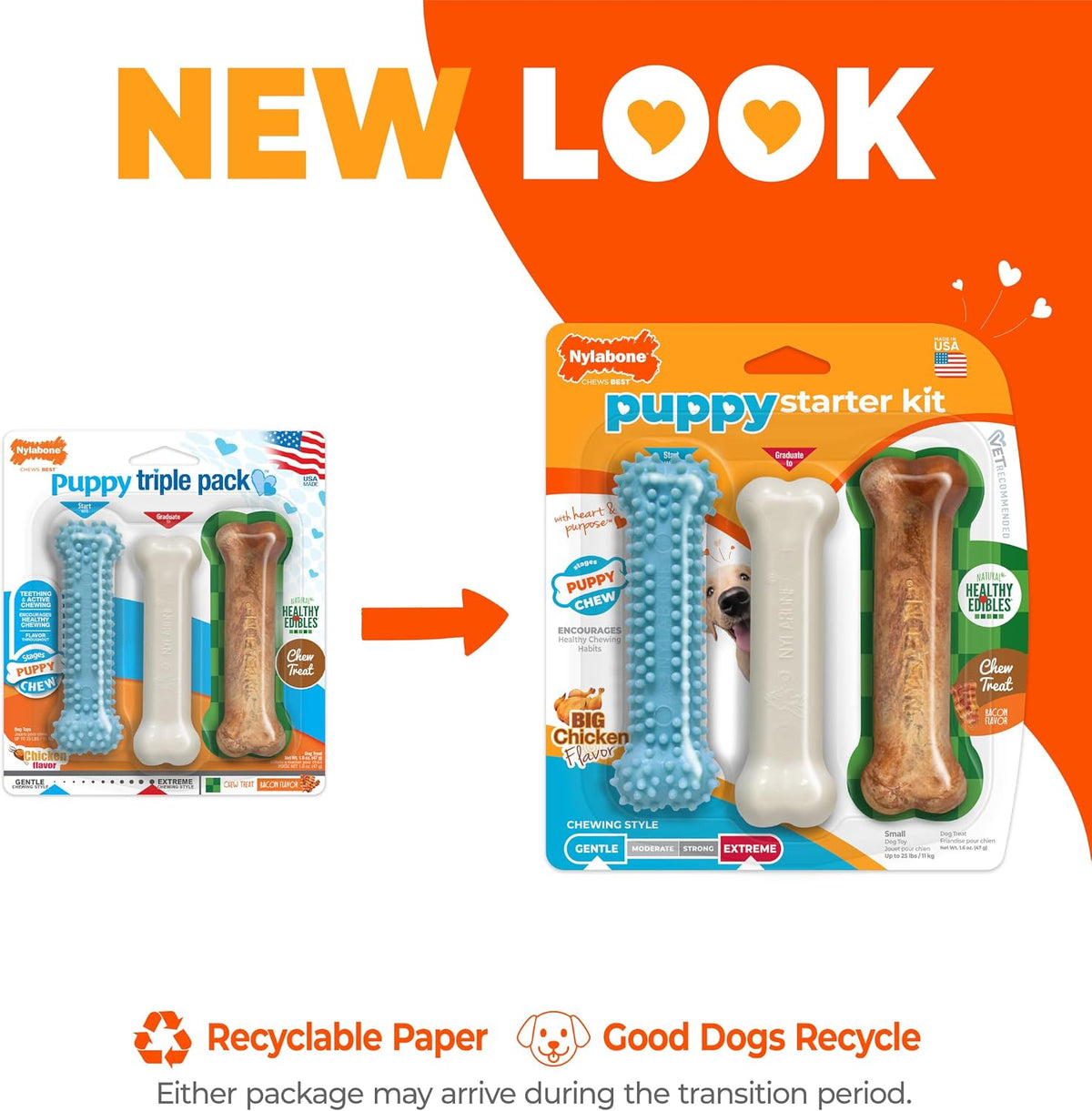 Nylabone Puppy Pacifier Chew Toy - Blue / Small - image 3