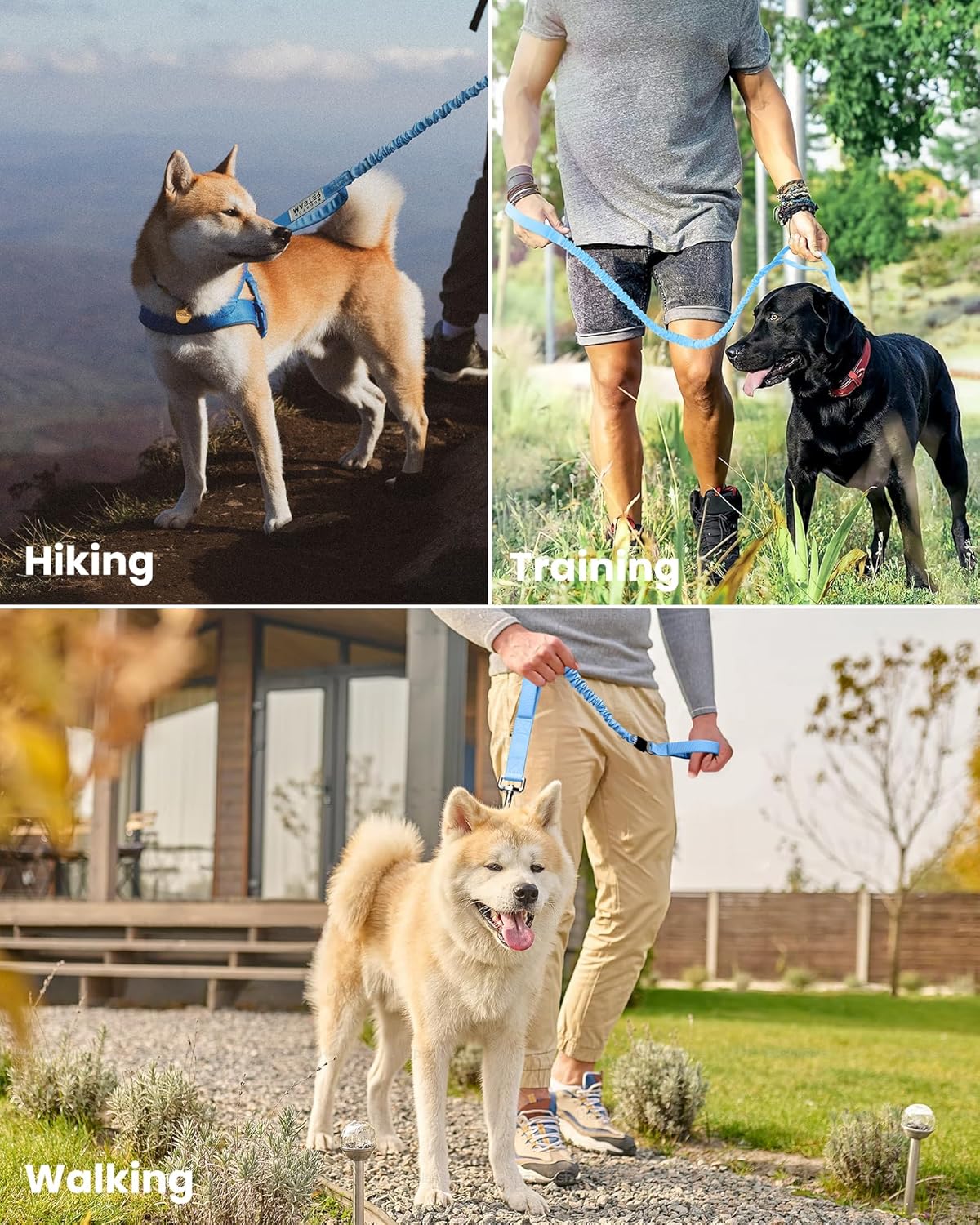 OutdoorMaster Bungee Dog Leash - Blue / Max: 6'7"(Upgraded) - image 4