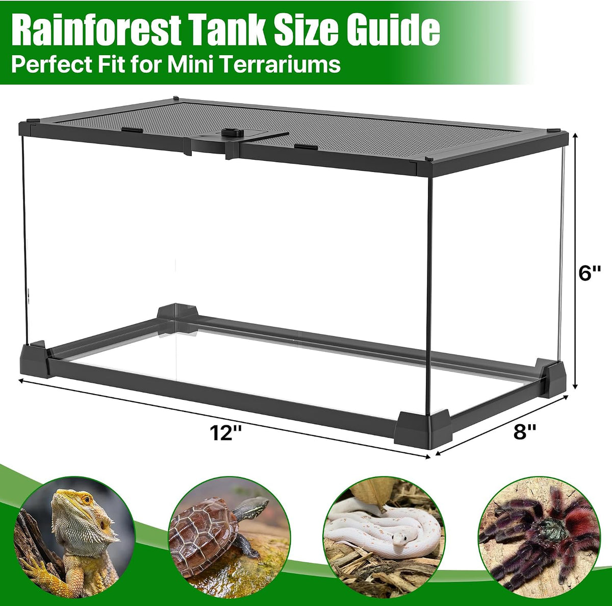 Folding Reptile Travel Terrarium Tank 17" × 12" × 10" – Essentials for Reptiles And Amphibians - 12" x 8" x 6" - image 3