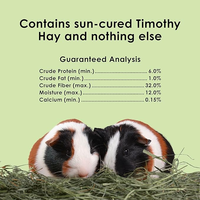 Kaytee All Natural Timothy Hay for Guinea Pigs, Rabbits & Other Small Animals, 6 Pound