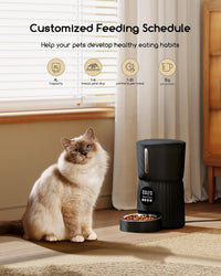 Faroro Automatic Cat Feeder, 1-6 Meals Per Day - Black - image 2