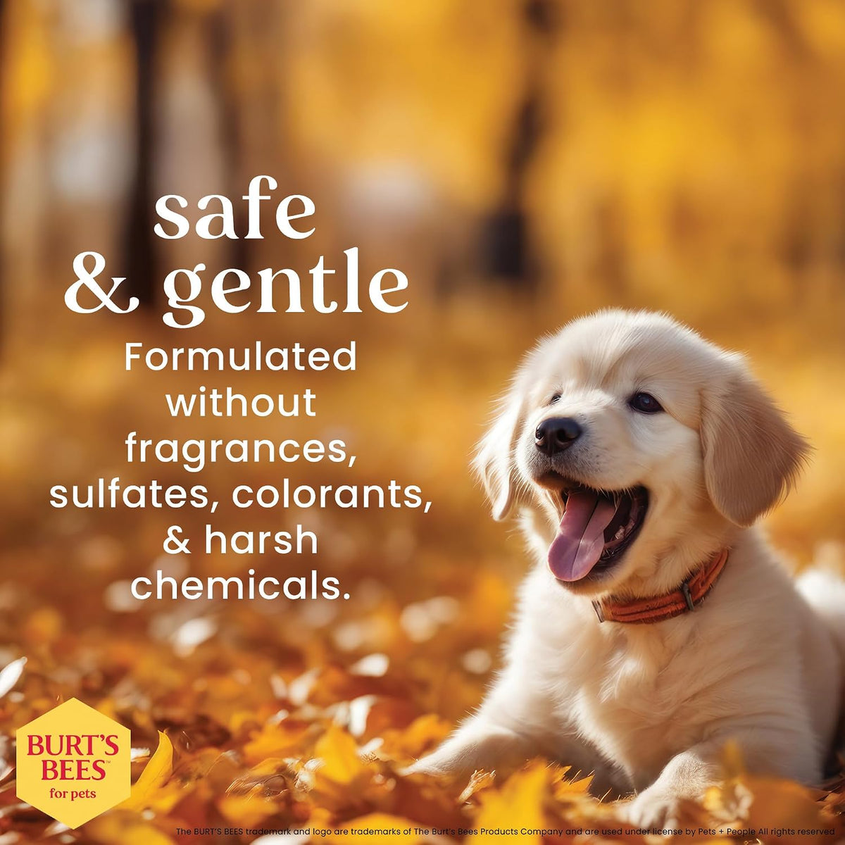 Burts Bees Tearless Puppy Shampoo & Conditioner with Buttermilk - Unscented / 16 Fl Oz (Pack of 6) - image 2
