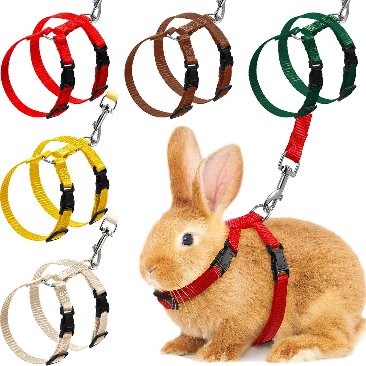 Outus 5 Pieces Adjustable Rabbit Harness and Leash Set - Vivid Color