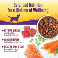 Wellness Complete Health Thick & Chunky Natural Grain Free Canned Wet Dog Food, Beef Stew, 12.5-Ounce Can (Pack of 12)
