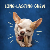 Purina Busy Bone Adult Toy Breed Dog Chew Bone Treats, Tiny - 30 ct. Pouch