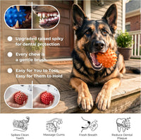 3.5''Durable Squeaky Dog Ball for 25-80lbs Aggressive Chewers – Essentials for Dogs - 3 PC-Assorted Flavors & Colors - image 4