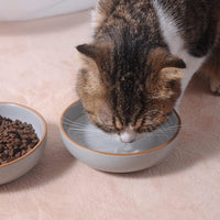 Ceramic Cat Bowls, Howise Pet Bowl Cat Dishes for Food and Water - gray - image 3