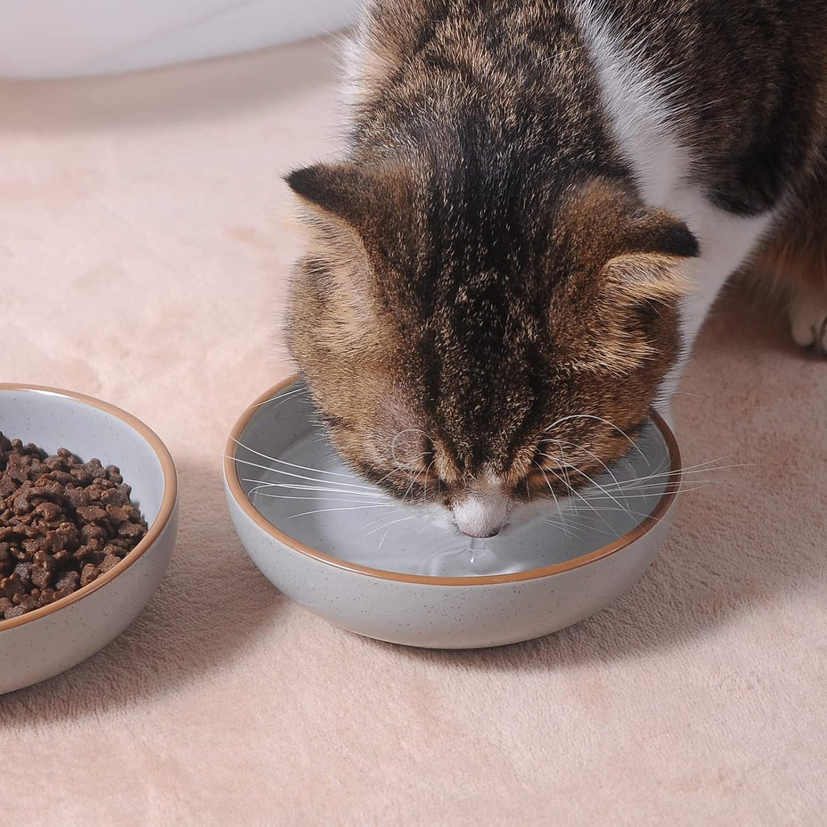 Ceramic Cat Bowls, Howise Pet Bowl Cat Dishes for Food and Water - gray - image 3