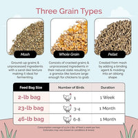 Organic Chicken Feed – Layer Mash, Non-GMO, USA Grown, 16% Protein, Corn-Free, Soy-Free, Non-Medicated Feed for Chickens, 46 lbs