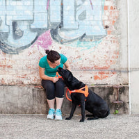 EzyDog Quick Fit Dog Harness, Soft Neoprene Padding - X-Large / Red - image 2