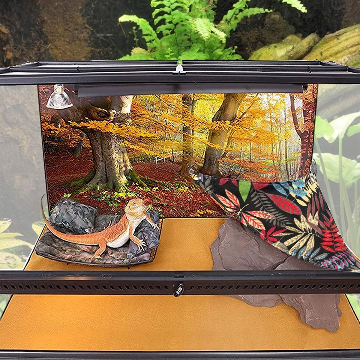 Bearded Dragon Hammock, Reptile Lizard Lounger Ladder Accessories Terrarium Habitat Decor for Large - Black - image 3