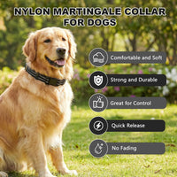 Martingale Collar for Dogs, Reflective Escape Proof, M - Black / Small - image 2
