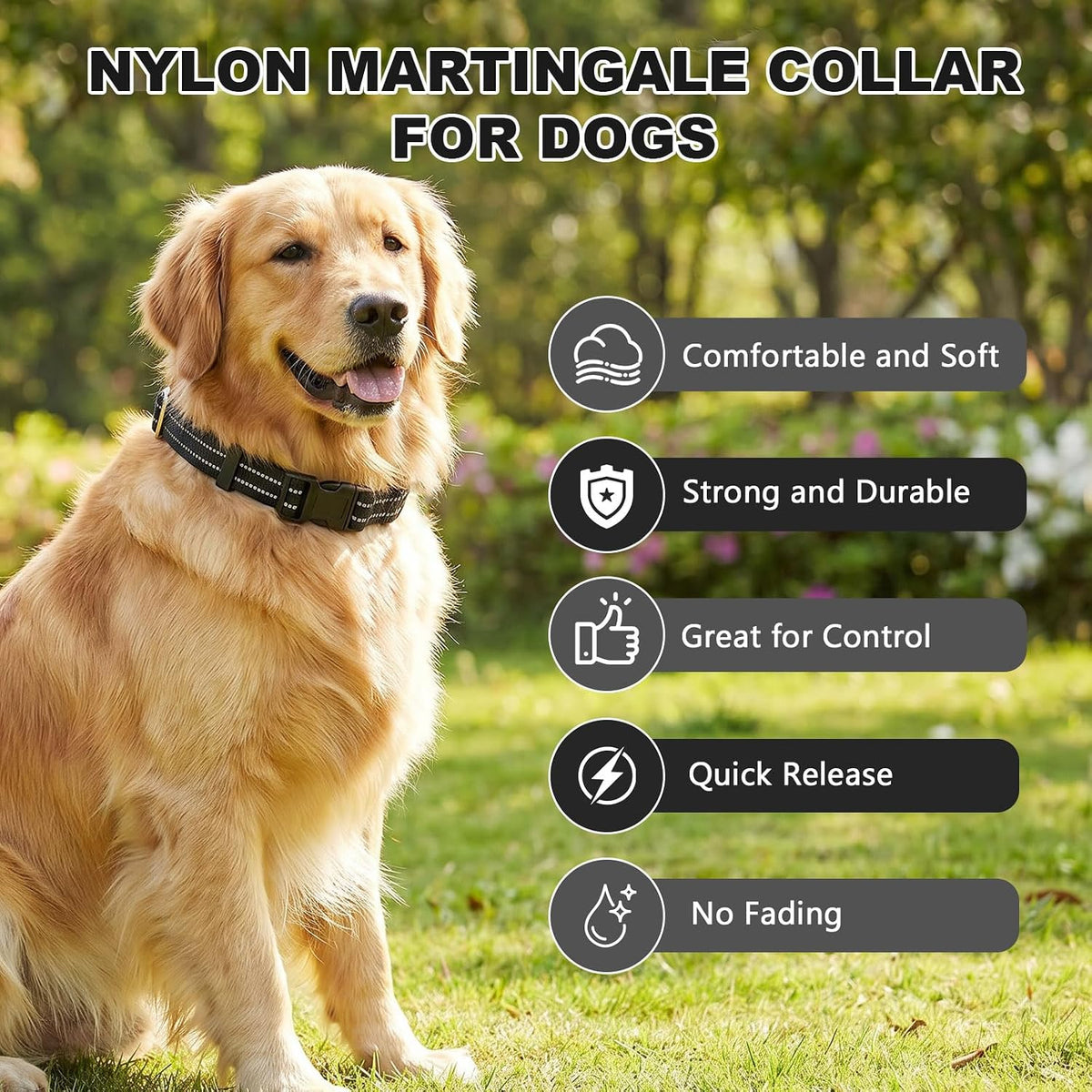 Martingale Collar for Dogs, Reflective Escape Proof, M - Black / Small - image 2