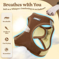 rabbitgoo Dog Harness Small Sized and Leash Set - Brown & Beige / Xs (chest: 13.3 - 15.5") - image 3