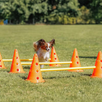 TRIXIE Dog Agility Hurdle Cone Set, 6 x Cones, 3 x Agility Rods - image 2