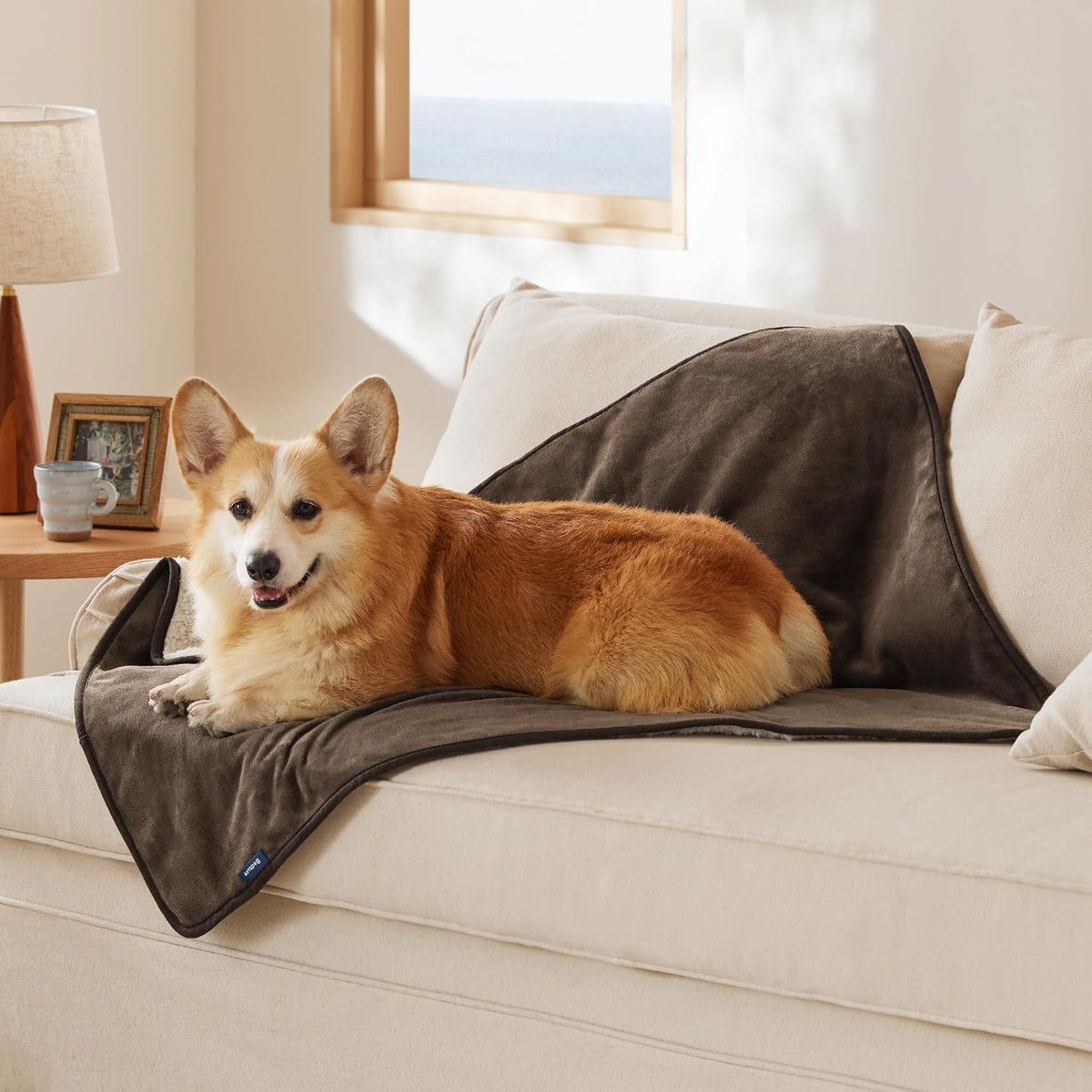 Bedsure Waterproof Dog Blankets for Small Dogs Soft Cat Blanket Warm - L(40x50") / Coffee Brown