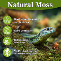 Sukh Sphagnum Moss for Reptiles, Green Terrarium Moss Substrate - 5.5 Ounces / Green - image 2
