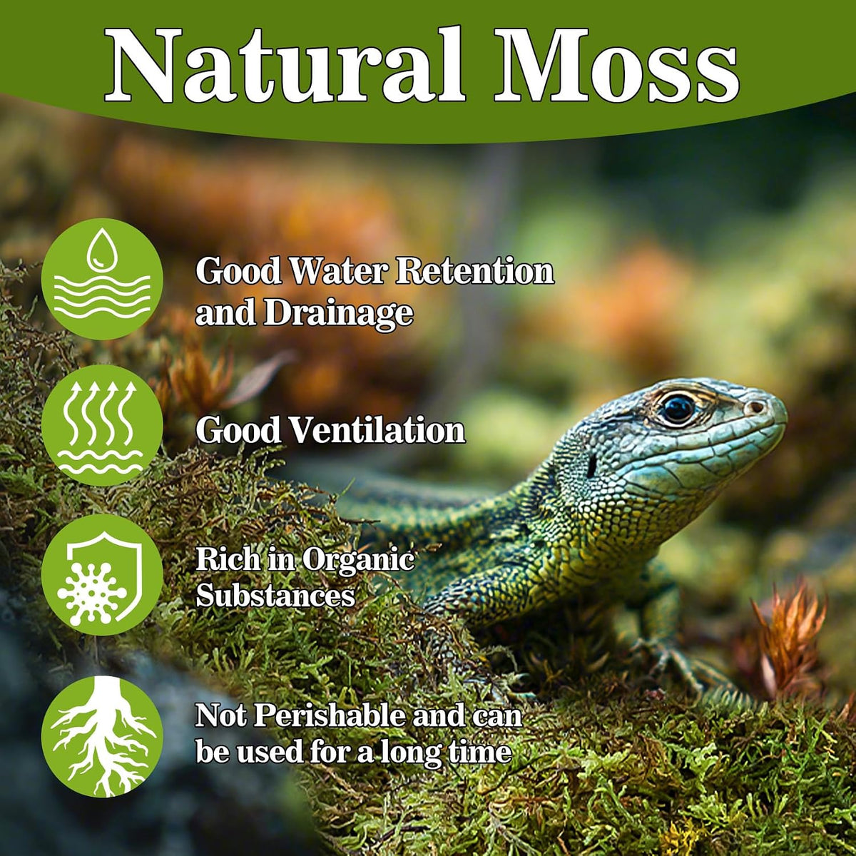 Sukh Sphagnum Moss for Reptiles, Green Terrarium Moss Substrate - 5.5 Ounces / Green - image 2