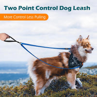 Two Point Control Dog Leash, No Tangle Training Walking Leashes – Essentials for Dogs - Blue - image 2