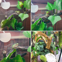 2 PCS Reptile Corner Branch - Green, 2 Pcs - image 2