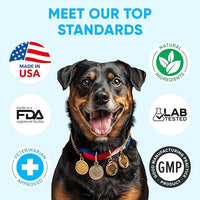 Chewable Flea and Tick Prevention for Dogs - 120 Soft Chews Made in USA - Oral Flea and Tick Control Pills for Small, Medium, Large Dogs and Puppies - Skin and Coat Supplement Treats for All Breeds
