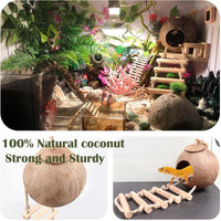10PCS Crested Gecko Tank Accessories - 10 Piece with Single Coconut Shell - image 2