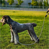 MayPaw Rope Dog Leash, Thick Leash for Medium Large Dogs - black white / 1/2" * 6' - image 4