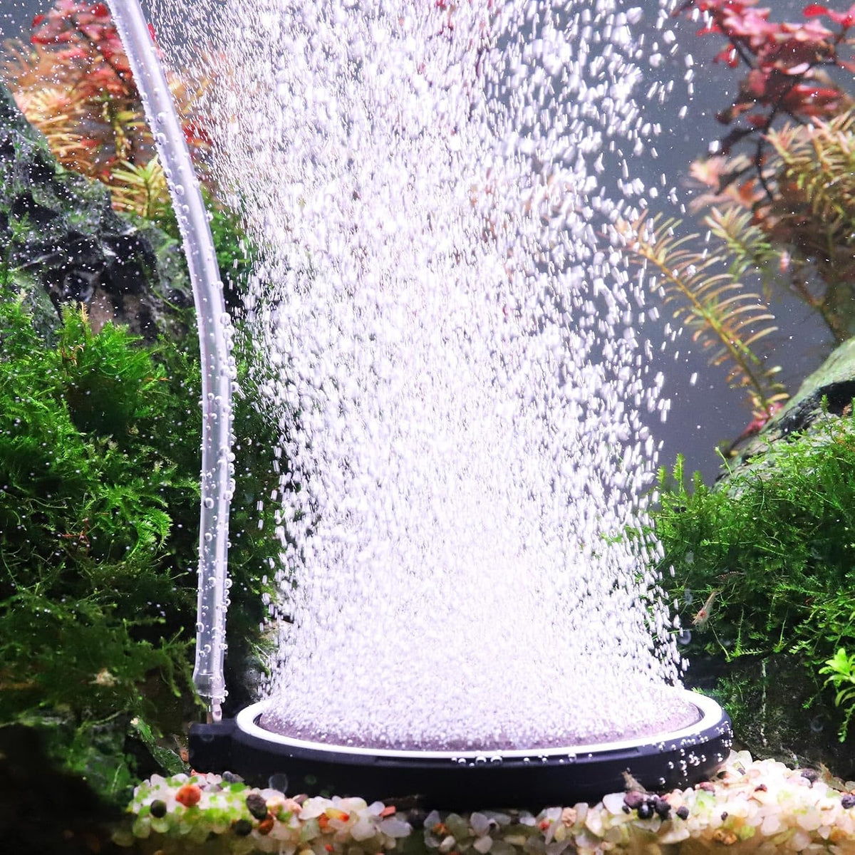 hygger Air Stone for Aquarium: Quiet High Dissolved Oxygen Diffuser - 10CM