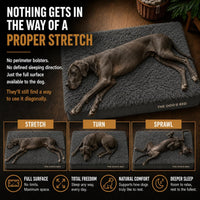 The Dog’s Bed Orthopedic Memory Foam Dog Bed - Grey Fur / XXL Beds (6" deep) - image 3