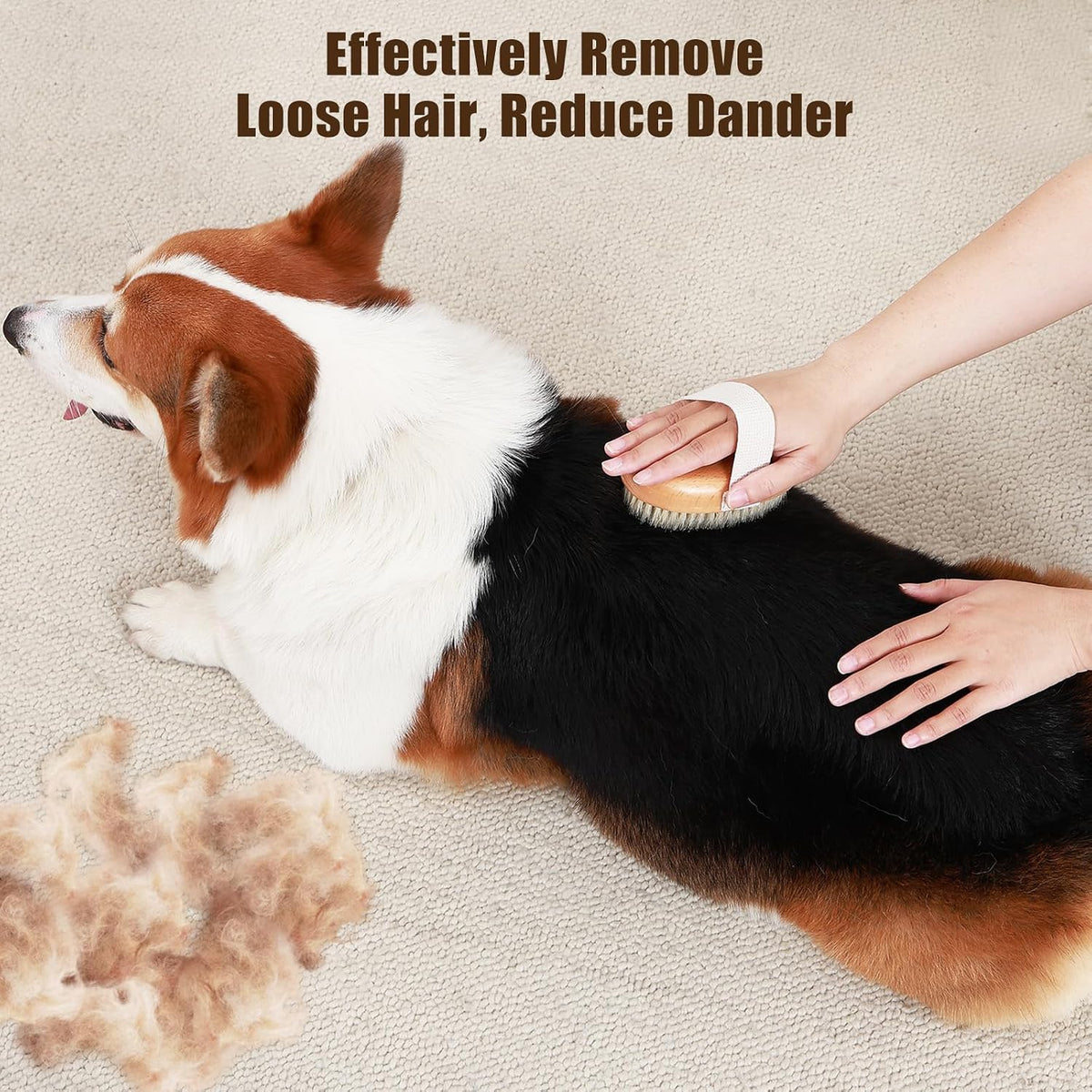 Soft Boar Bristle Pet Palm Brush for Short Haired Dogs and Cats - image 2