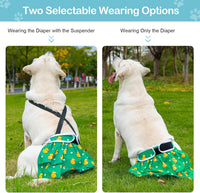 Avont 3 Pack Washable Female Dog Diaper with Suspender - Animal / XL - image 2