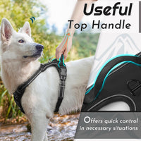 Eagloo Dog Harness for Large Dogs - X-large / Black - image 4