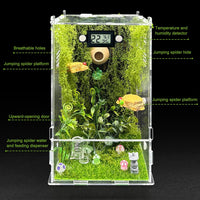 Jumping Spider Enclosure, DIY Insects Habitat - Forest - image 3