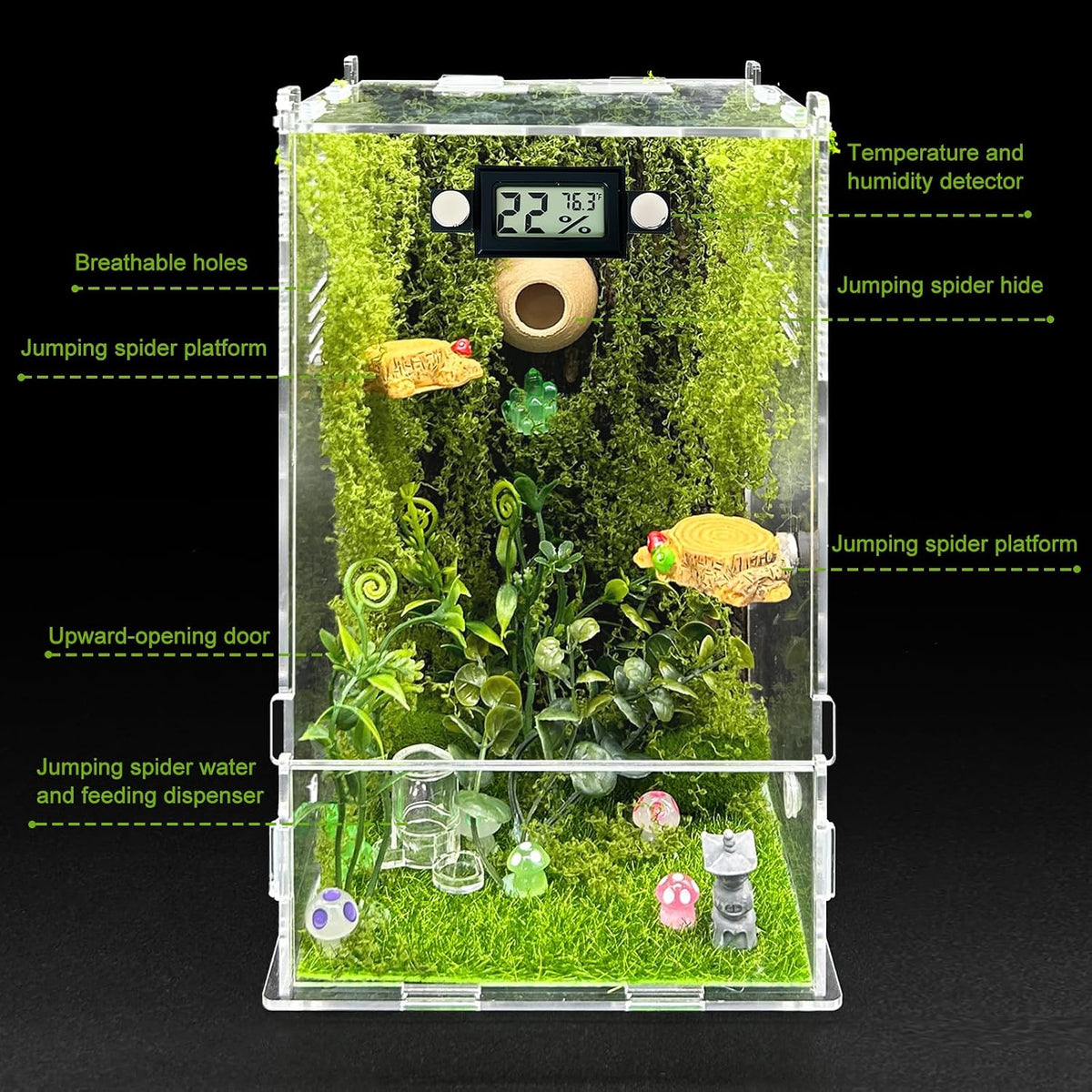 Jumping Spider Enclosure, DIY Insects Habitat - Forest - image 3