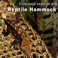 SunGrow Leopard Gecko, Hermit Crab, Reptile Hammock, Handwoven - 1 Pieces (22 x 7 in) - image 3