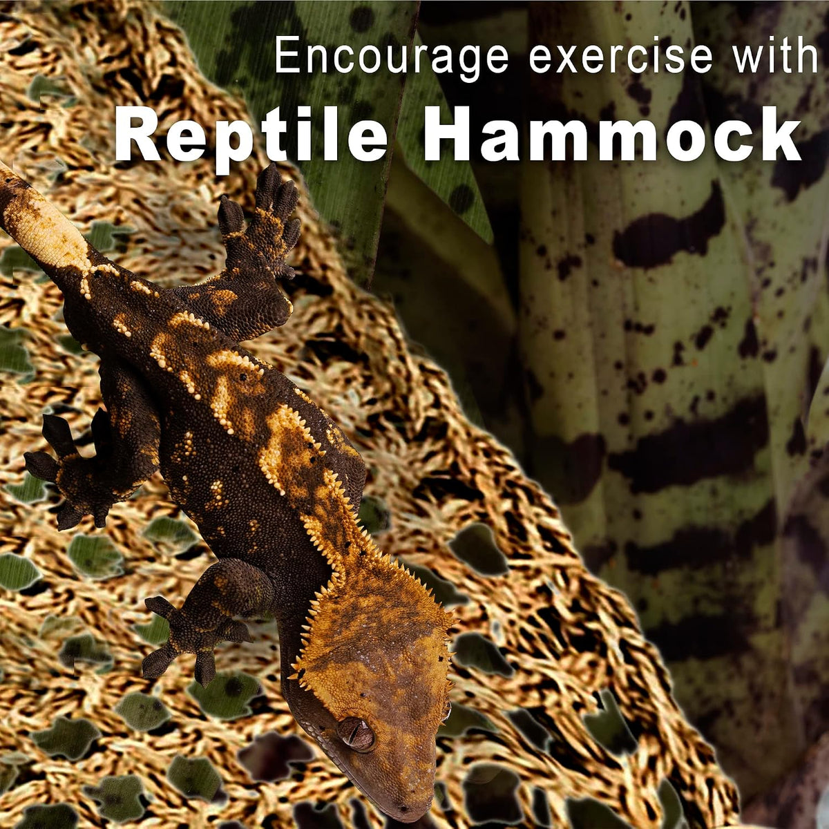 SunGrow Leopard Gecko, Hermit Crab, Reptile Hammock, Handwoven - 1 Pieces (22 x 7 in) - image 3