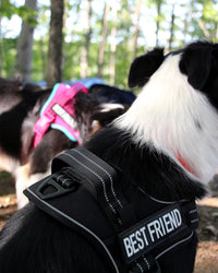 AUROTH Dog Harness for Large Dogs No Pull Tactical Harness and Leash - Black / M(Neck:17.7"-24",Chest:23.6"-31.9") - image 2