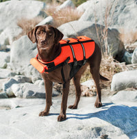 ZippyPaws Adventure Dog Life Jacket - Extra Extra Small - image 3