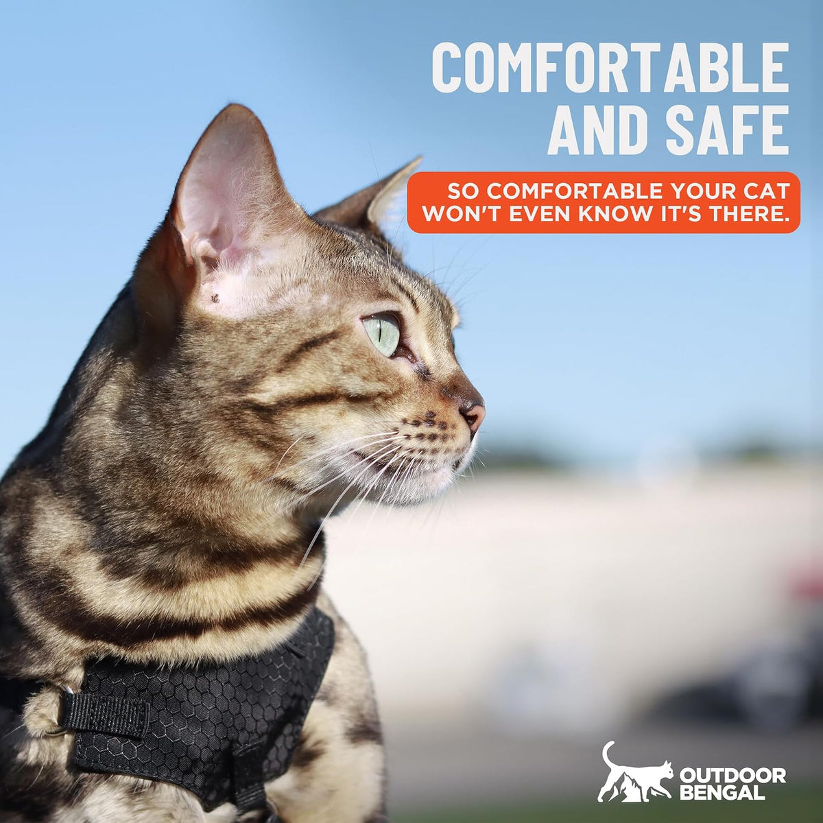 Houdini Escape Proof Cat Harness and Leash – Essentials for Cats - Black / M/L - image 4
