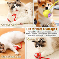Interactive Cat Toys for Indoor Cats, 2025 New Interactive Cat Toys, Intelligent Automatic Rolling Pet Ball, Automatic Obstacle Avoidance Cat Toy Ball with Rope, Three Modes Adjustment (gray)