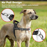 No Pull Dog Harness with Handle - Black / M - image 2